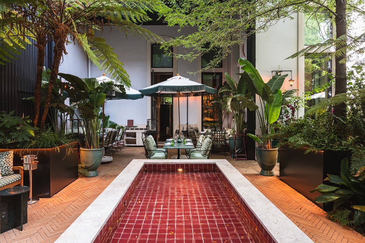 The garden courtyard — a red-tiled pool, tree ferns overhead, tables set beyond it.
