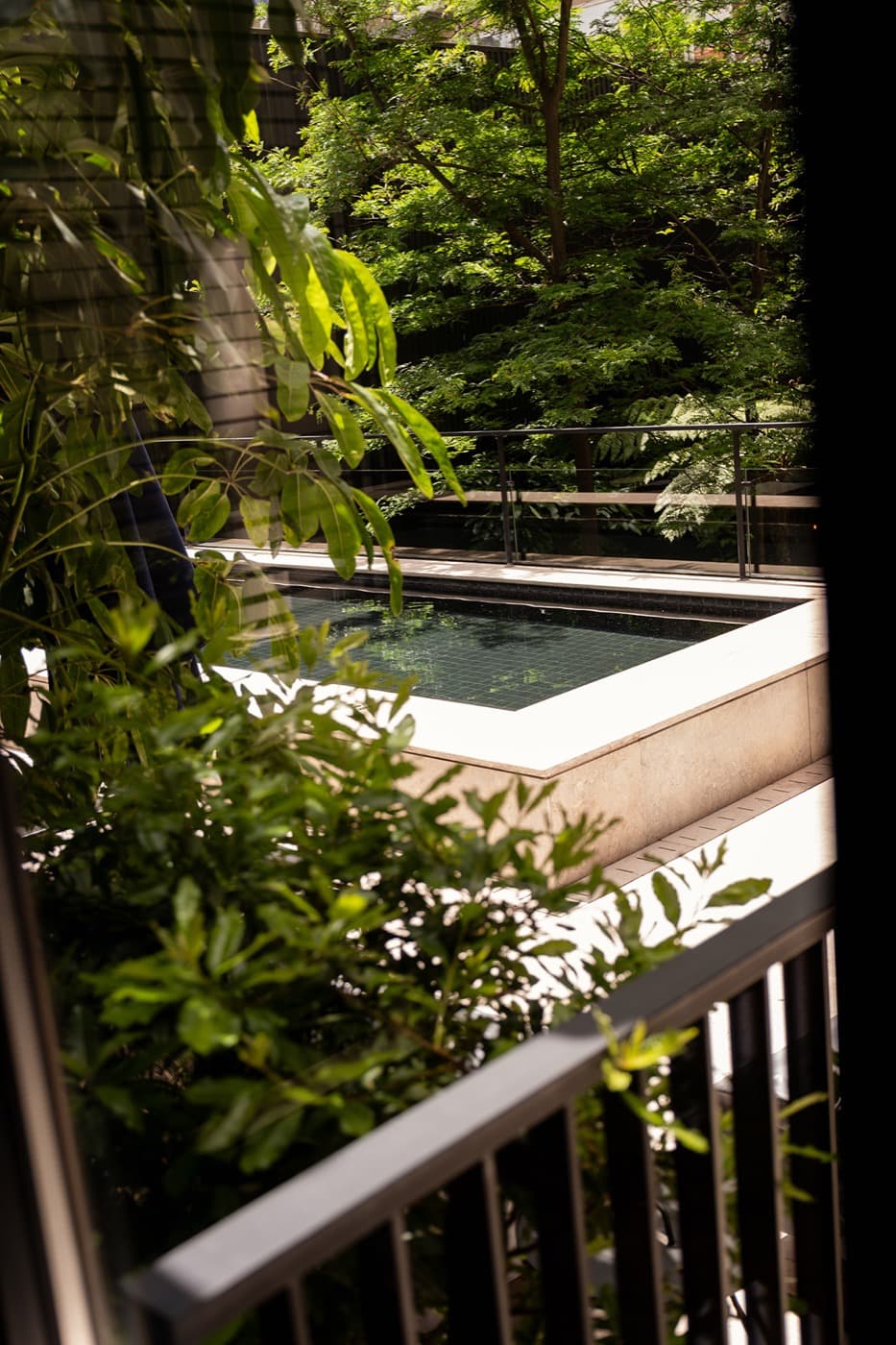 The garden pool seen from inside, leaves crossing the view.