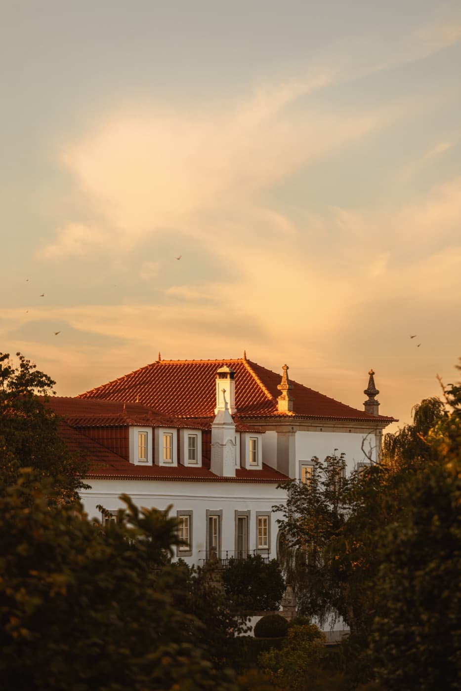 The house above its gardens at dusk, swifts over the roof.